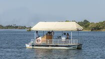 Private Lunch Cruise on the Zambezi River