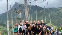 1 Day Private Tour in Cocora Valley Hike 