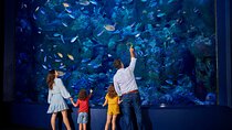 Night at the Aquarium Tour 