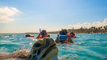 Private Tulum Akumal Cenotes Experience