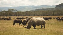 6-Day Group Joining Safari- Nairobi, Nakuru, Naivasha & Amboseli