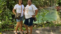 Martha Brae River Rafting Private Tour from Montego Bay