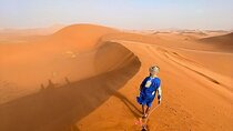 5 Hour Sunset Tour with Camel Ride and Dinner In Desert