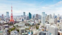 Tokyo 8hr Private Tour with Government-Licensed Guide