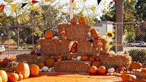 Private Santa Clara Halloween Family Fun Tour