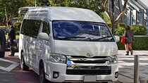 Tokyo Narita Airport (NRT) to Tokyo - Arrival Private Transfer