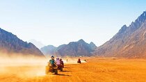 Quad Bike Safari Experience in Luxor