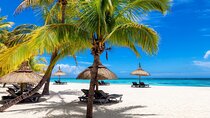 Full Day Private Shore Tour in Punta Cana from Cap Cana Port