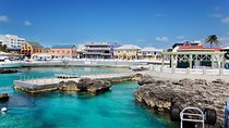 Full Day Private Shore Tour in George Town from George Town Port