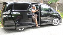 Private Transfer from Tokyo hotels to Tokyo Cruise Port