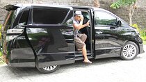 Private Transfer from Nagoya Chubu Airport (NGO) to Toyama Port