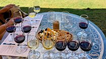 Wine Tasting Tour at Two Wineries in Urla Turkey