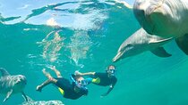 9 Hour Snorkeling Excursion in Safaga