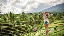 Private Full Day Tour In Bali