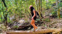 Puerto Vallarta Botanical Gardens Hiking Tour