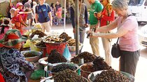 The Journey Phnom Penh to/from Siem Reap: A Memorable Tour
