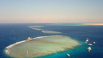Gifton Island Snorkeling Cruise from Hurghada