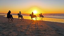  2 Hour Horse Riding in Hurghada