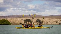 Kayak and Trekking Rio La Leona