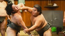 Sumo Morning Practice Tour in Tokyo, Sumida City