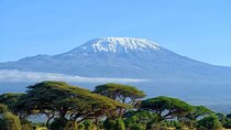 Full Day, Small Group Guided Tour to Amboseli National Park