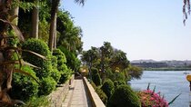 Aswan Felucca Sail and Botanical Gardens Tour
