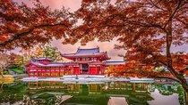 Ontabi Kyoto Uji One Day Tour