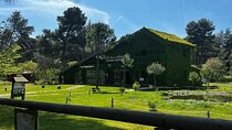 Albanian Gems: Berat and Karavasta Lagoon Day Trip
