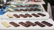 Cacao Chronicles: A Mexican Chocolate Tasting