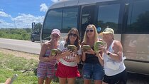 Roundtrip MBJ Airport Transportation to Montego Bay Hotels