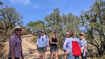 Walk, Hike and Eat for Private Group