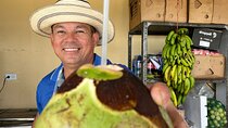 5 Hours Private Panama City Tour