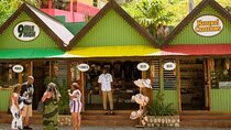 Private Tour Day-Trip Nile mile Bob Marley House With Admission 