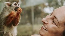 Monkey Jungle with Zip line