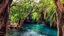Chemka Hotsprings and Serval wildlife Private Day Trip
