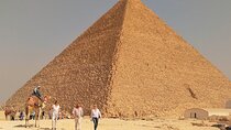  Day Tour Giza Pyramids, Sphinx, Camel,and Lunch in CairoPrivate