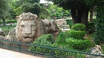 Middle Atlas Mountains, Cedar Forest and Azrou Day Trip from Fez