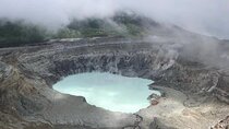  Poas Volcano National Park Tour and Bird watching in Costa Rica