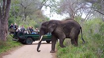 4 Days Ultra Luxury Safari At Kapama River Lodge