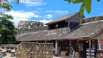 Ultimate Mnemba Dolphins, Spice Farm & Stone Town Day Tour