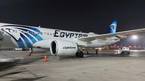 Private Aswan Airport Arrival Bliss