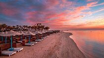 Red Sea private day tour from Cairo
