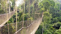 Private Guided Adventure in Cape Coast 
