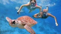2-Days full Private Tour: Muscat City tour & Dimaniyat Islands