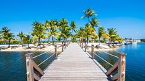 Full Day Private Shore Tour in George Town from George Town Port