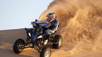 Dubai: 3* Red Dunes ATV, Sandsurf, Camels, Horses, Buffet & Show