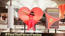 8 hours Private Tour: Ferrari World and Louvre Museum with Pickup