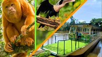 Wildlife Boat Trip Caño Negro 