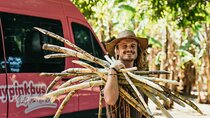 Shuttle from San Jose to Manuel Antonio