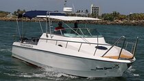Sports Boat- Private Whale Watching Trip( free breakfast & paid pick-up)